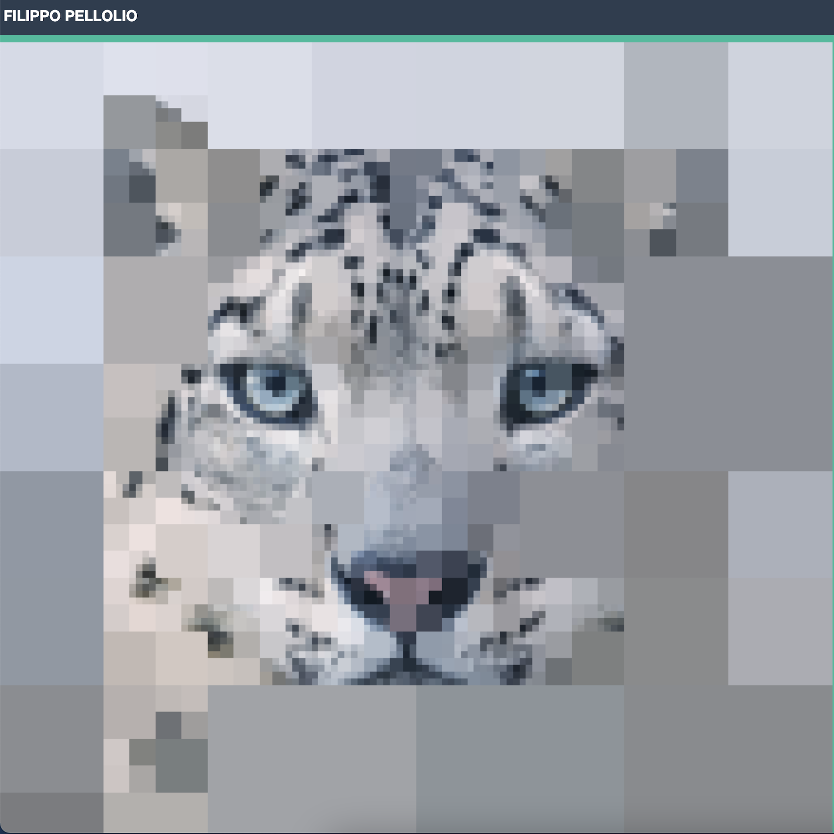 Quadtree Canvas